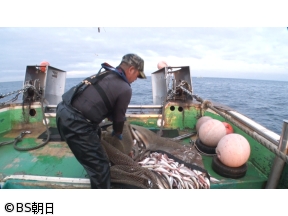 魚が食べたい!　「黄色い船団が狙う魚とは?リヤカーでセリ?」