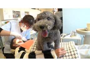 出没！アド街ック天国【茨城・守谷】ほぼ東京!?北関東一住みやすい☆移住者急増の街…