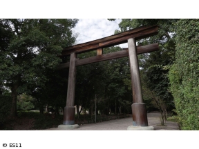 ごりやくさん　第47回「近江神宮」(滋賀)