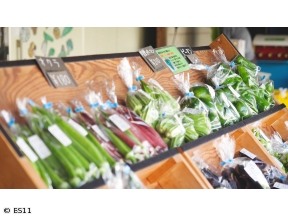 柏原光太郎の食紀行　栃木県宇都宮市 旬を迎えた獲れたて野菜のコース