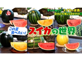 マツコの知らない世界【毎週火曜よる8時55分!マツコ仰天!驚きの世界】