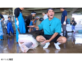 巨大サメ捕獲大作戦!500キロ超怪物vsスゴ腕漁師…南海の壮絶バトル