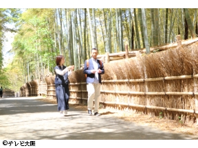 おとな旅あるき旅　「京都 向日町〜長岡京　初夏のぶらり散歩」