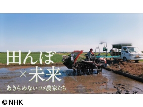 ETV特集 選 田んぼ×未来 あきらめないコメ農家たち